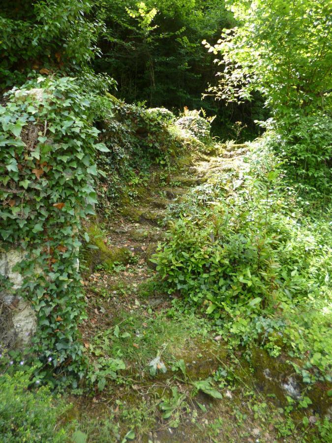 Le Moulin De Cors Bed and Breakfast Oulches Exteriör bild